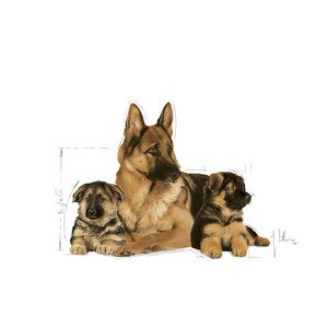 ROYAL CANIN® Maxi Mother Baby Food